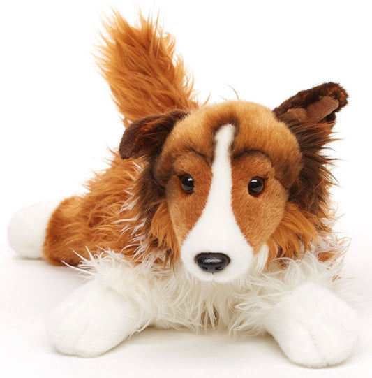 Longhair collie lying down - face white-brown - 41 cm (length)