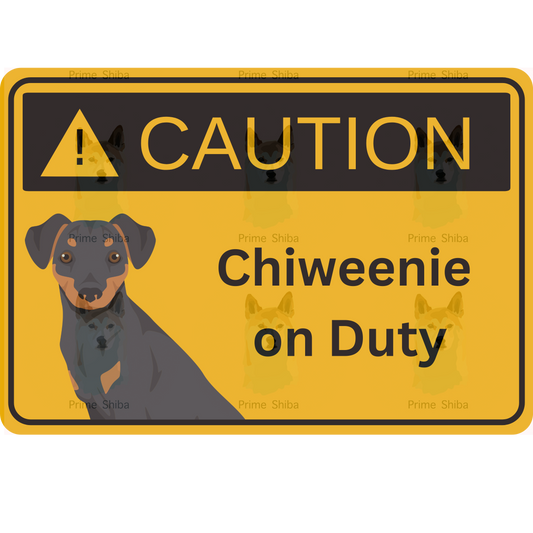 Chiweenie Dog 5in Transparent Caution Sticker