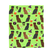 Load image into Gallery viewer, Affenpinscher Dog Halloween Velveteen Plush Blanket
