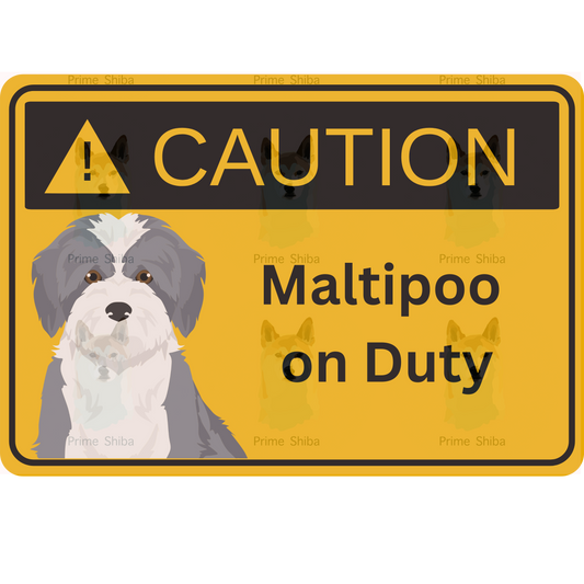 Maltipoo Dog 5in Transparent Caution Sticker