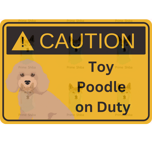 Toy Poodle Dog 5in Transparent Caution Sticker