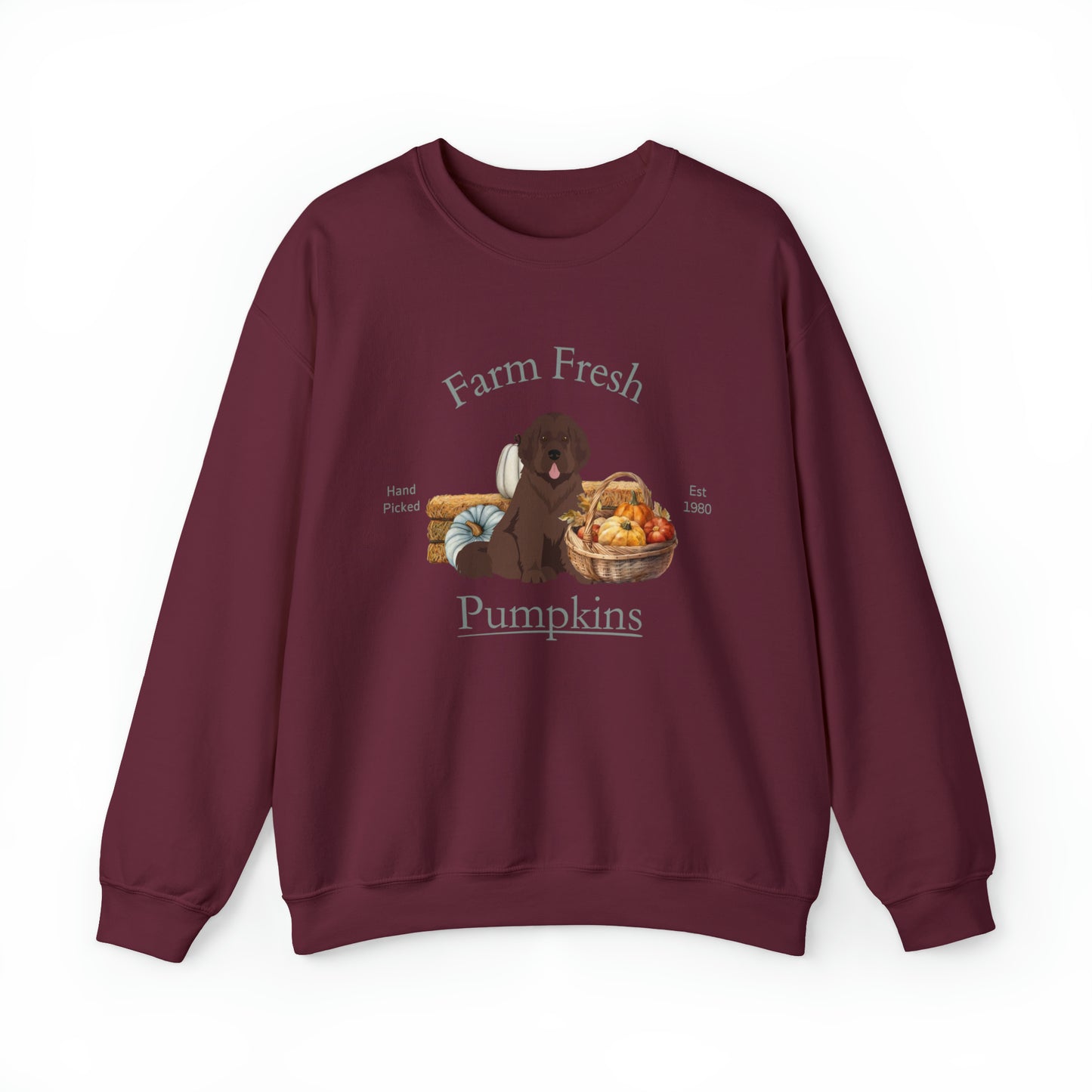 Newfoundland Dog Fall Halloween Unisex Heavy Blend Crewneck Sweatshirt