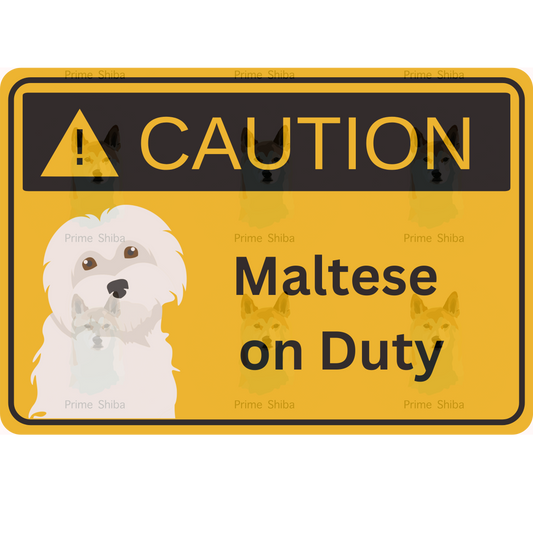 Maltese Dog 5in Transparent Caution Sticker