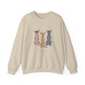 Xoloitzcuintli Dog Unisex Heavy Blend Crewneck Sweatshirt, Xoloitzcuintli Mom, Xoloitzcuintli Gift, Xoloitzcuintli Lover