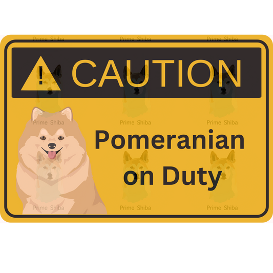 Pomeranian Dog 5in Transparent Caution Sticker