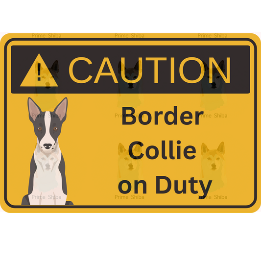 Border Collie Dog 5in Transparent Caution Sticker