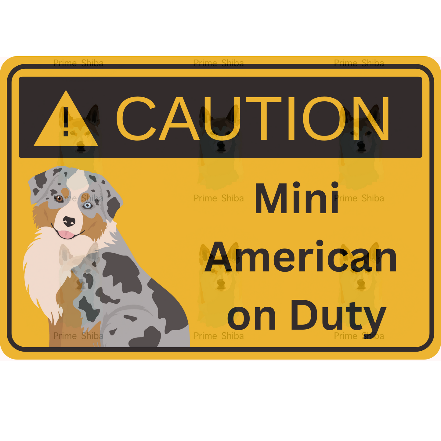 Mini American Shepherd Dog 5in Transparent Caution Sticker