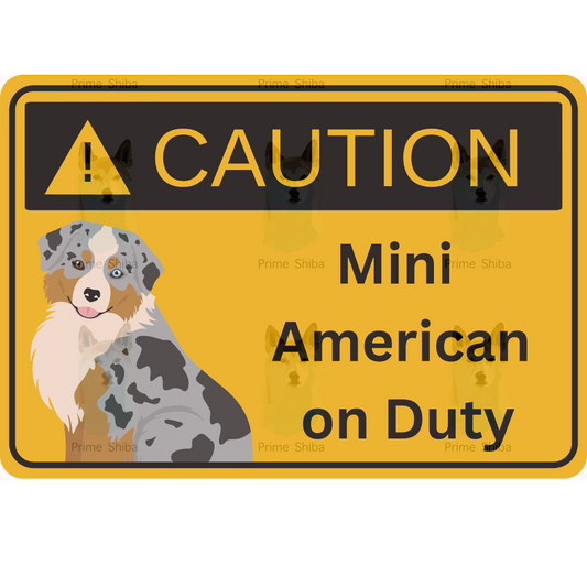 Mini American Shepherd Dog 5in Transparent Caution Sticker