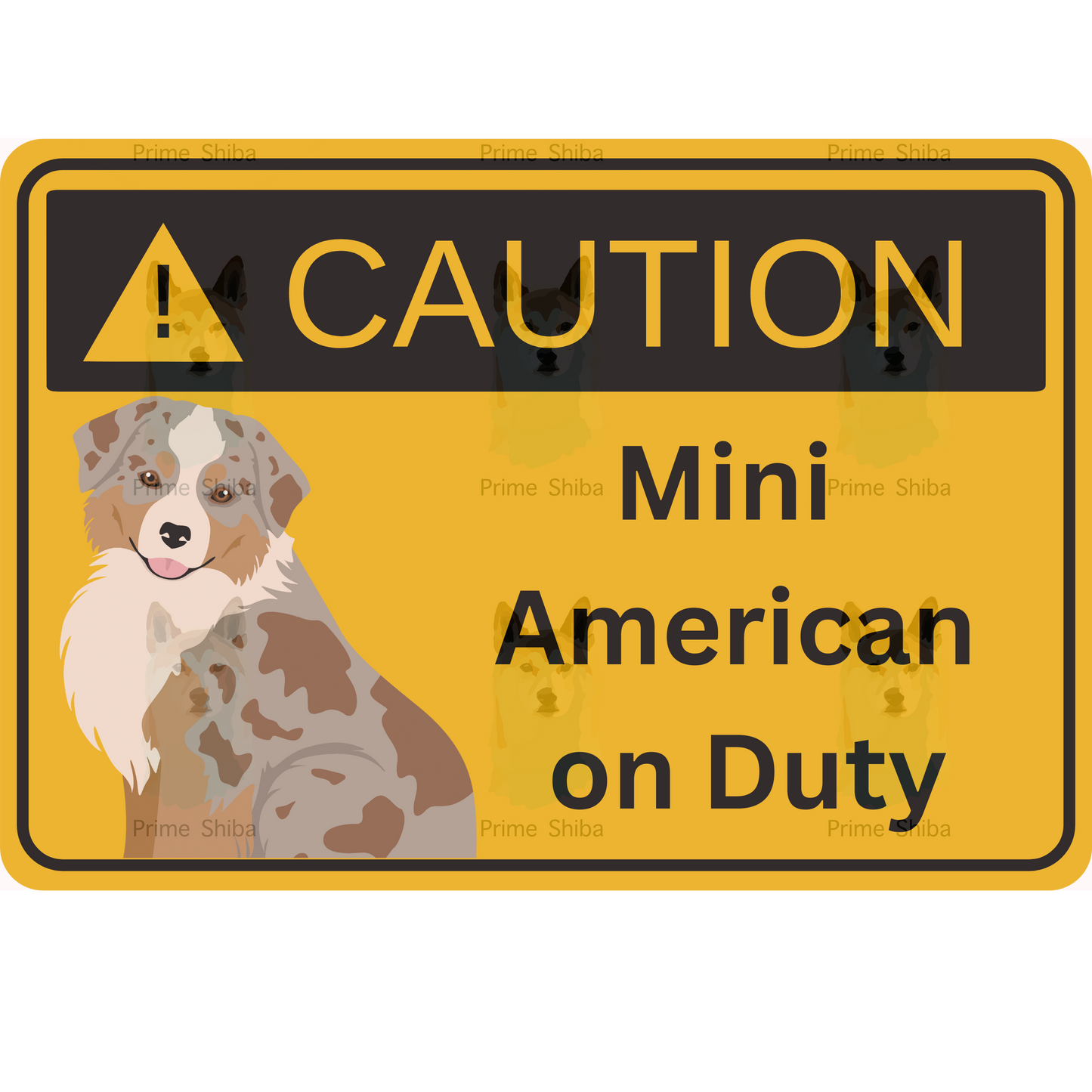 Mini American Shepherd Dog 5in Transparent Caution Sticker