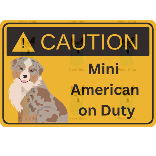 Mini American Shepherd Dog 5in Transparent Caution Sticker