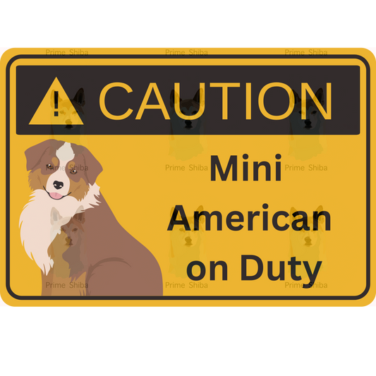 Mini American Shepherd Dog 5in Transparent Caution Sticker