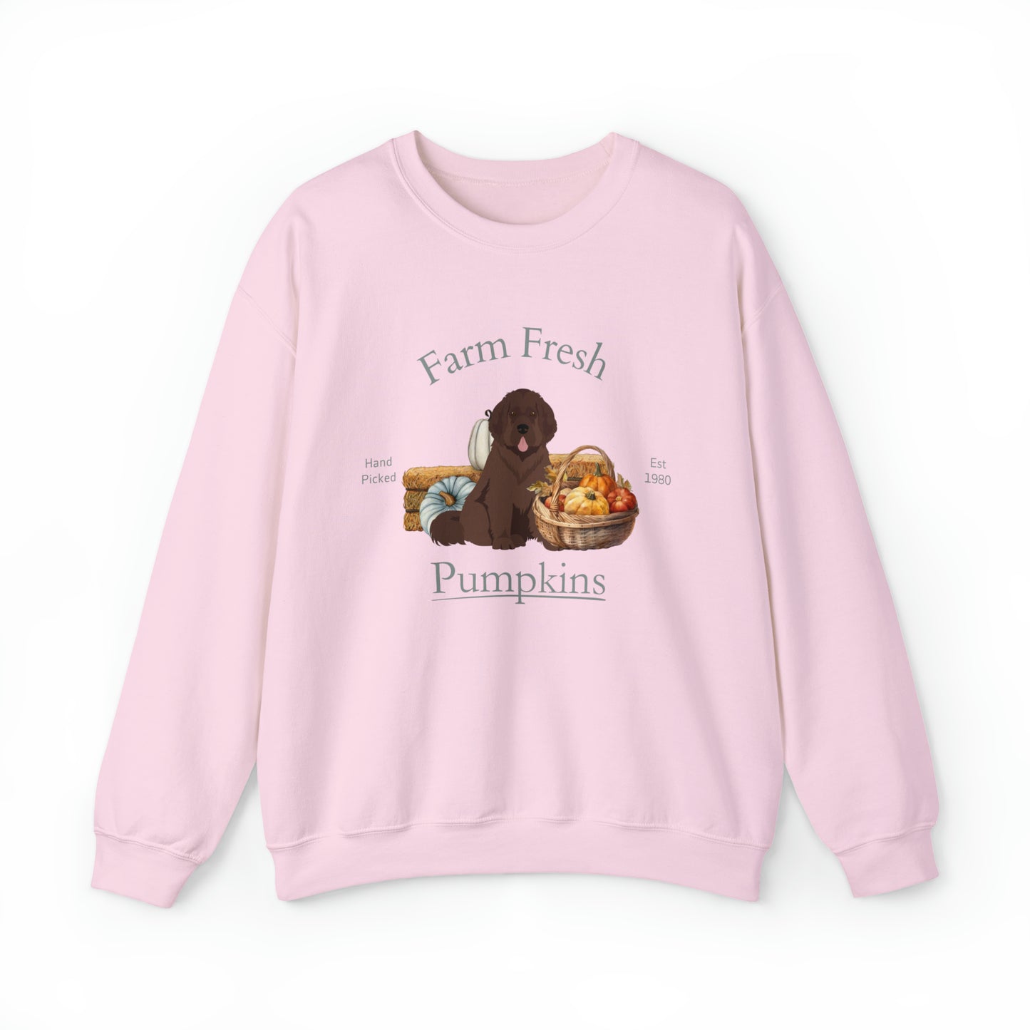 Newfoundland Dog Fall Halloween Unisex Heavy Blend Crewneck Sweatshirt