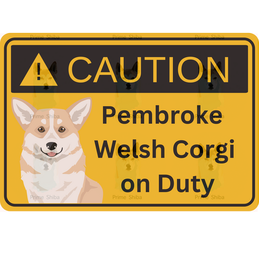 Pembroke Welsh Corgi Dog 5in Transparent Caution Sticker