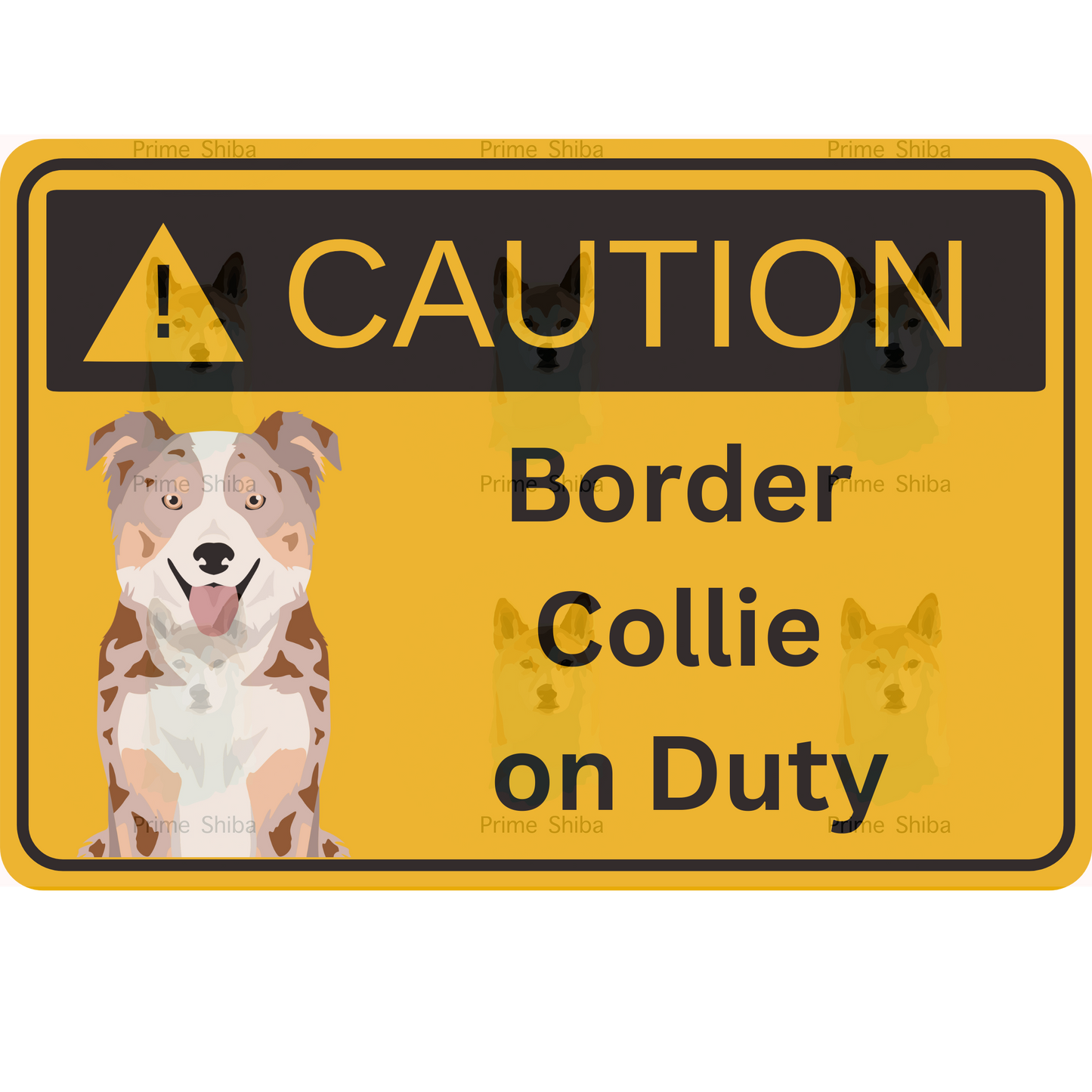 Border Collie Dog 5in Transparent Caution Sticker