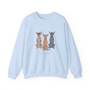 Xoloitzcuintli Dog Unisex Heavy Blend Crewneck Sweatshirt, Xoloitzcuintli Mom, Xoloitzcuintli Gift, Xoloitzcuintli Lover