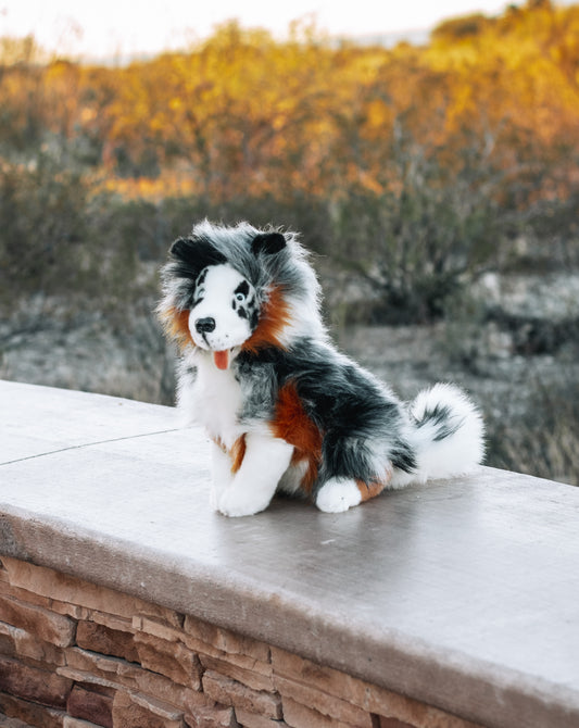 Bocchetta Australian Shepherd Size - 35cm/13