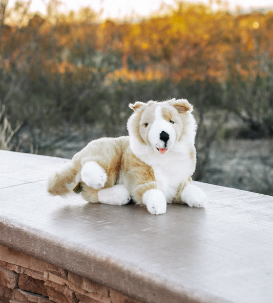 Bocchetta Tan and White Border Collie Size 38cm/15