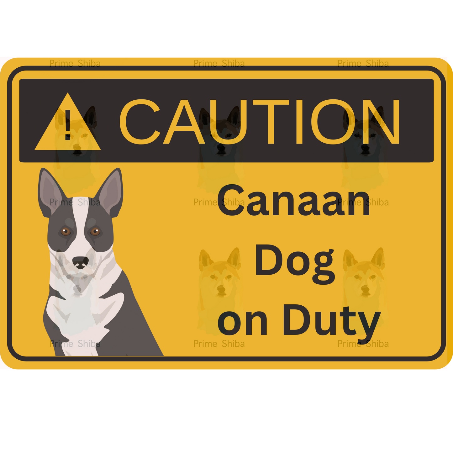 Canaan Dog 5in Transparent Caution Sticker