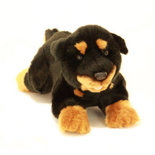 Load image into Gallery viewer, Bocchetta Rottweiler Dog Plush 11in
