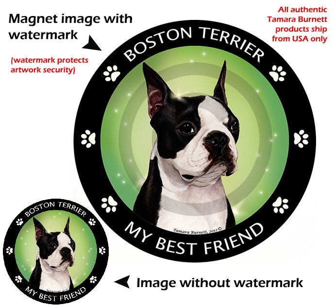 Boston Terrier Dog 5.5in Car Magnet