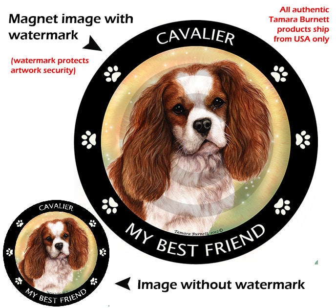 Cavalier King Charles Spaniel Dog 5.5in Car Magnet