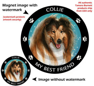 Collie Dog 5.5in Car Magnet