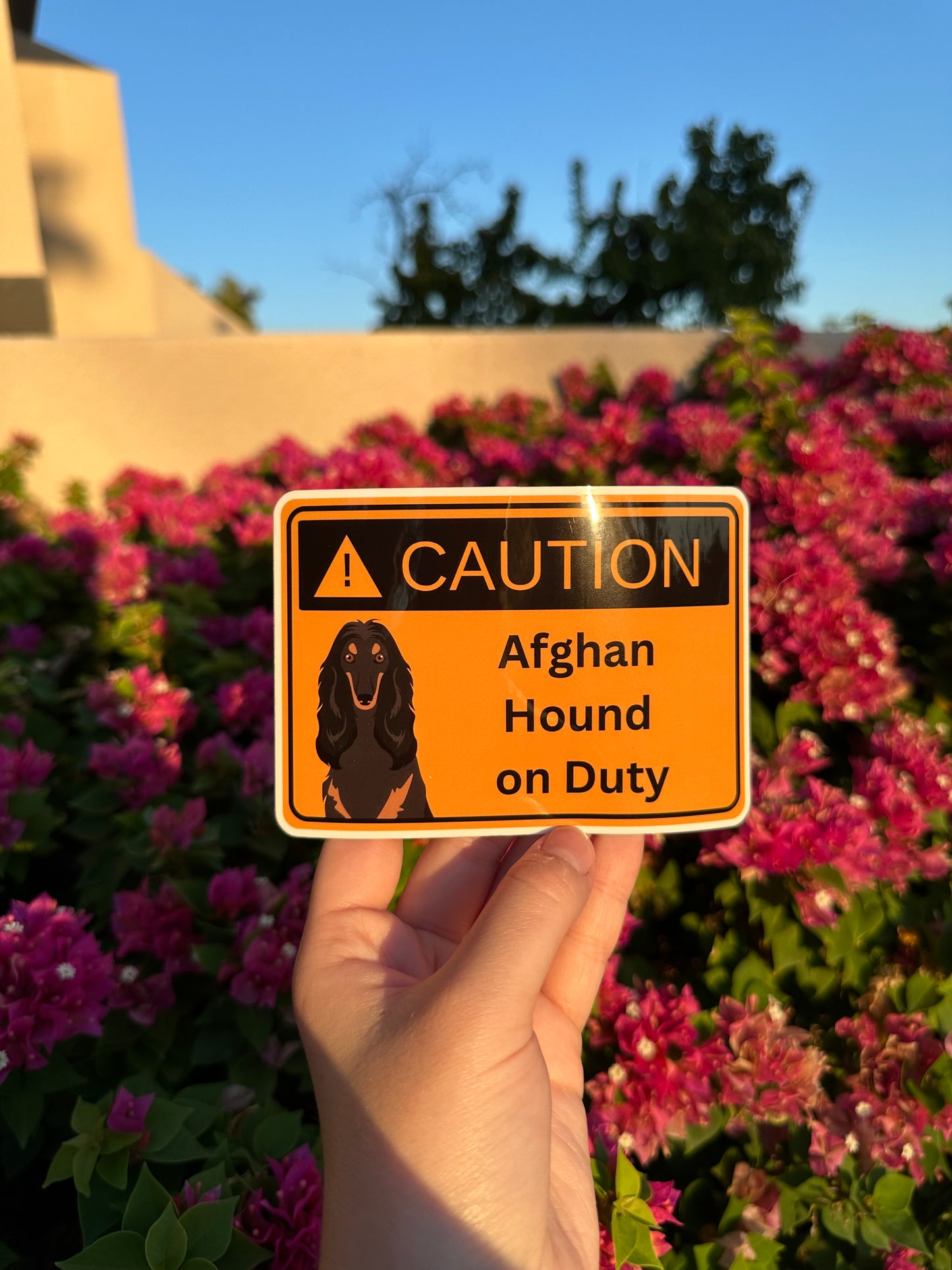 Afghan Hound Dog 5in Transparent Caution Sticker