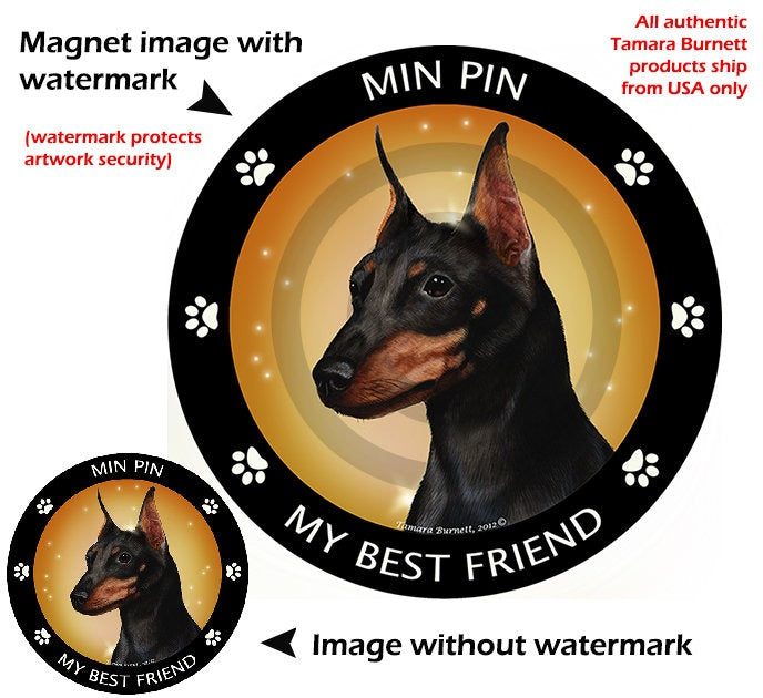 Doberman Pinscher Dog 5.5in Car Magnet