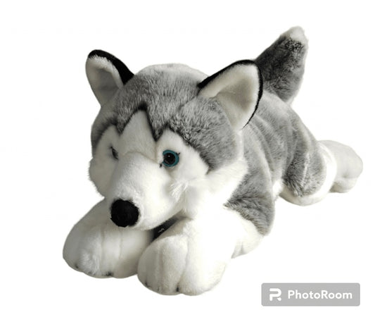 Dubi Husky Dog Plush 62cm