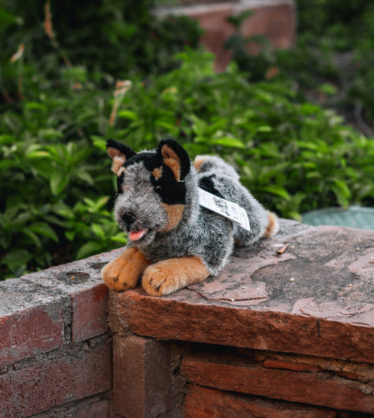 Bocchetta Australian Cattle Dog Plush 12in