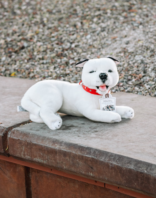 Bocchetta Staffordshire Bull Terrier Dog Plush 13.5i