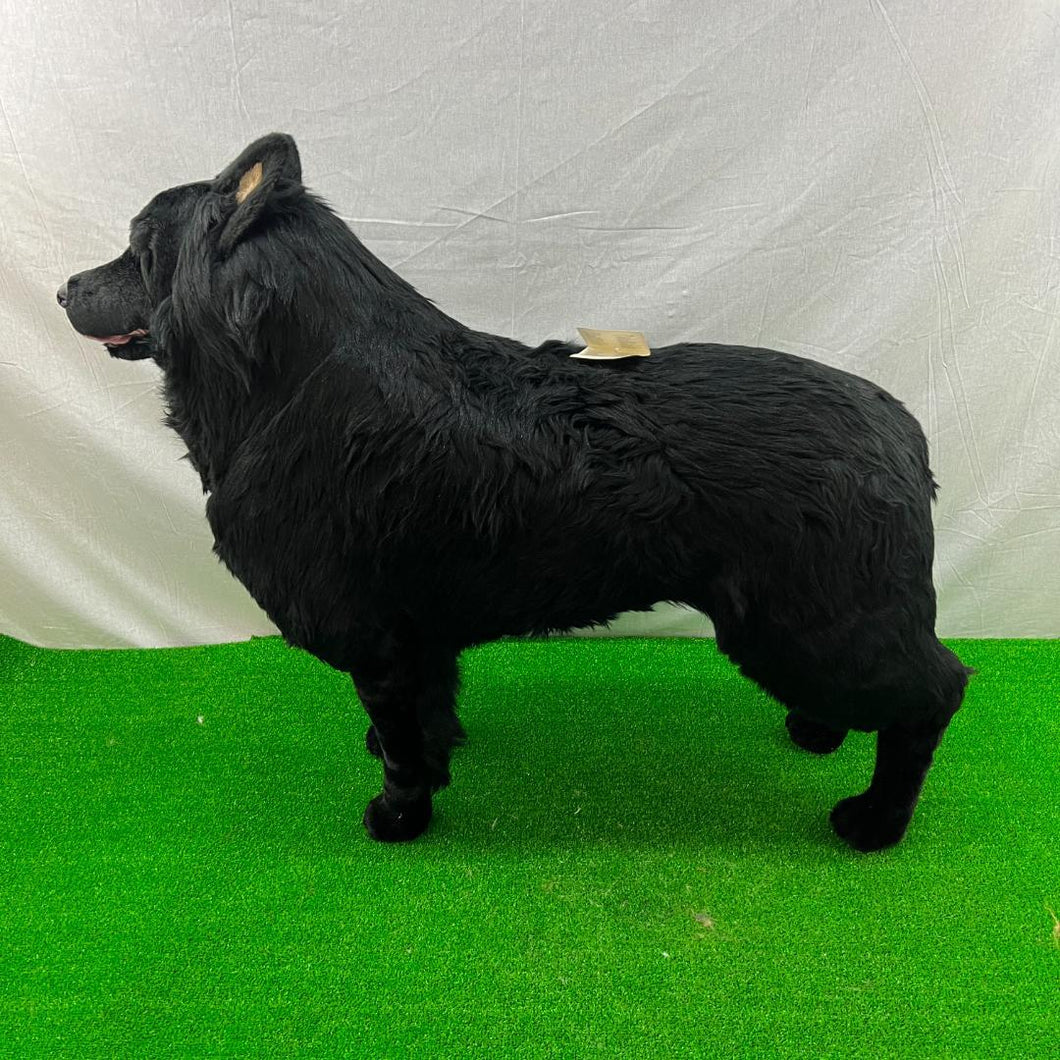 Piutre Jockline Belgian Sheepdog Plush 88cm