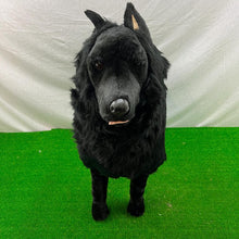 Load image into Gallery viewer, Piutre Jockline Belgian Sheepdog Plush 88cm
