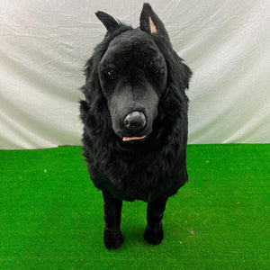 Piutre Jockline Belgian Sheepdog Plush 88cm