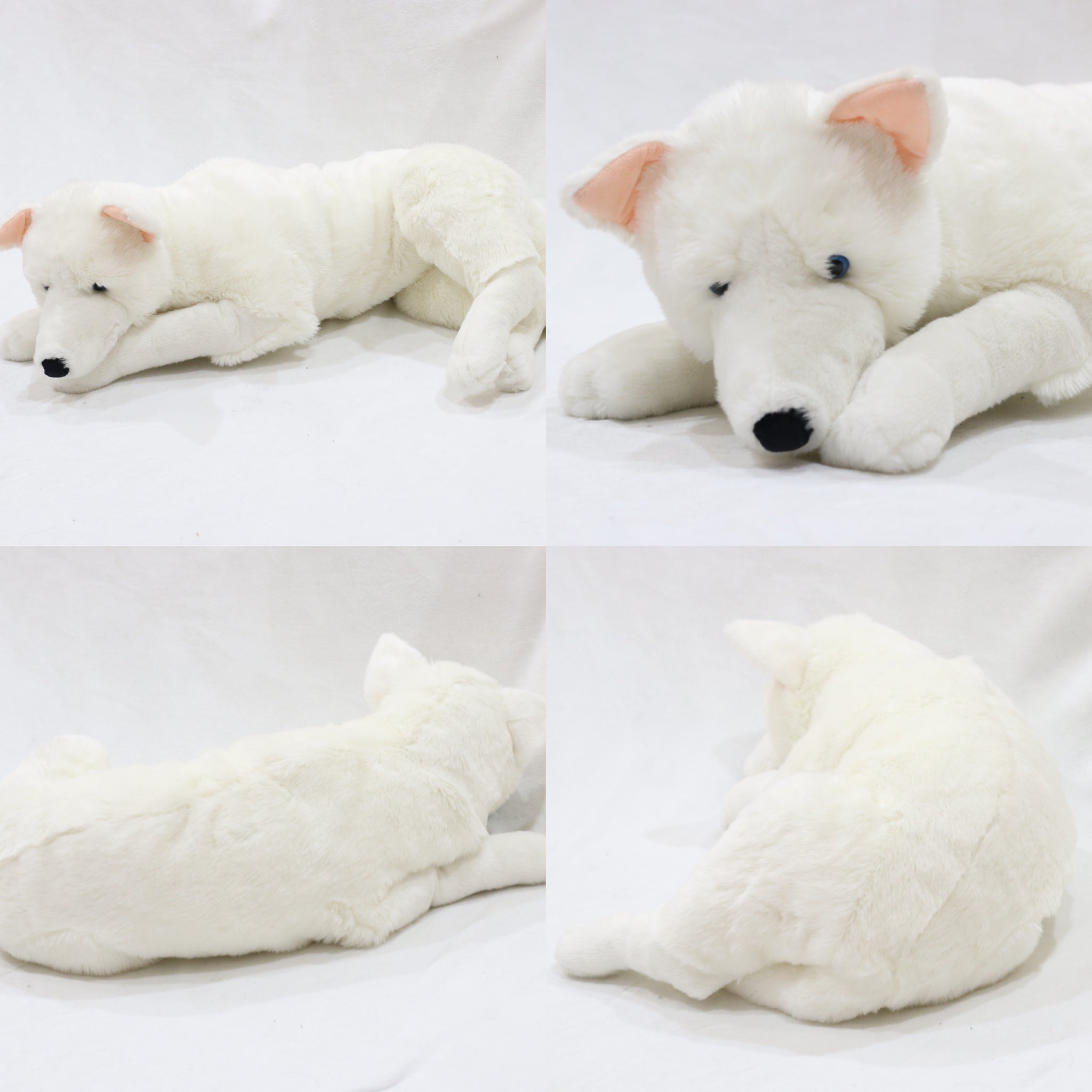 Haku the Shikoku Ken 15in Dog Plush – Prime Shiba