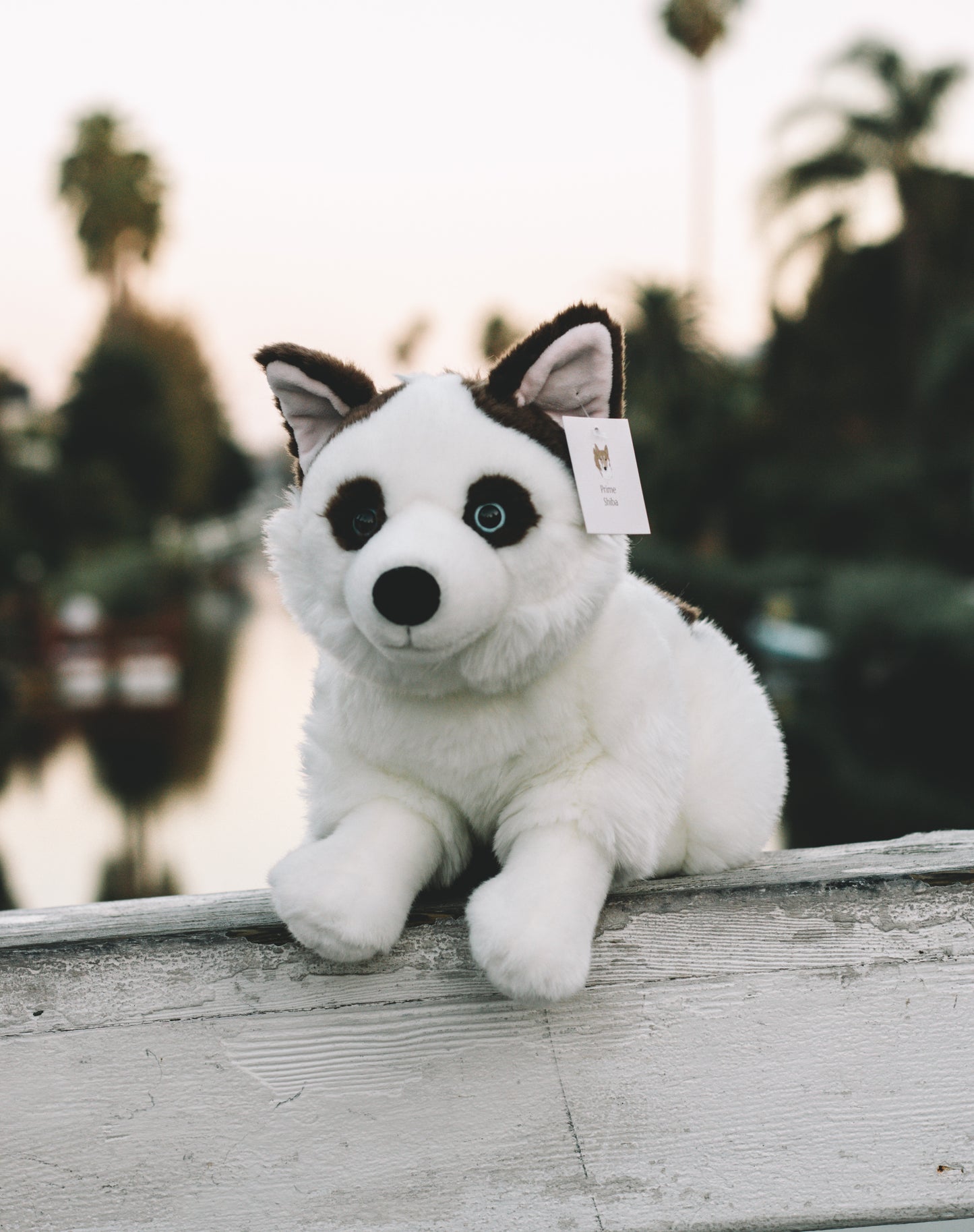 Zayn the Piebald Husky Dog Plush 15in