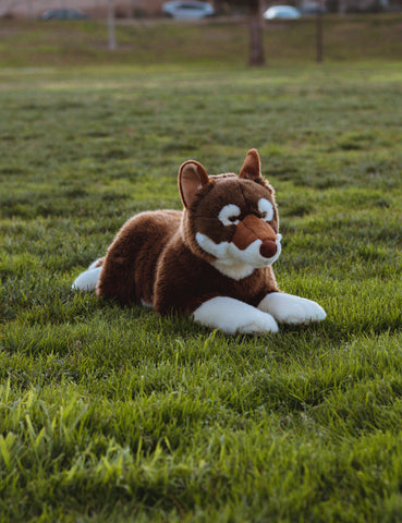 Haku the Shikoku Ken 15in Dog Plush – Prime Shiba