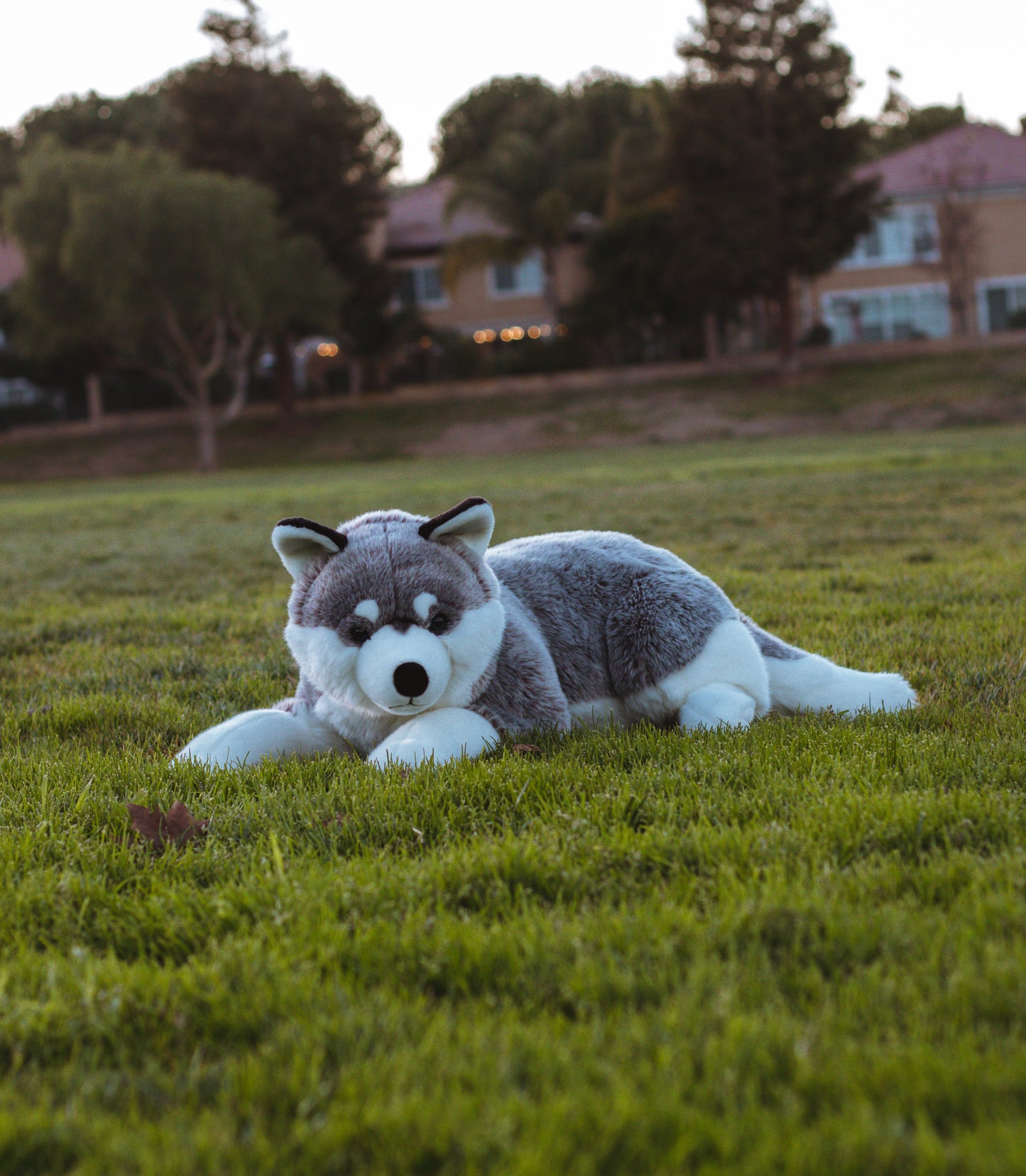 Zuko 30in Siberian Husky Dog Plush